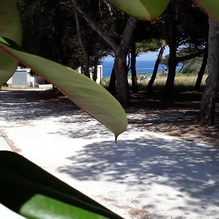 Сasa de vacaciones Casa La Pineta *