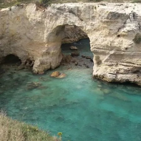 Casa La Pineta Sant'Andrea (Apulia)