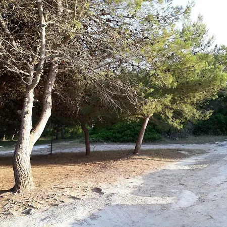 Casa La Pineta *
